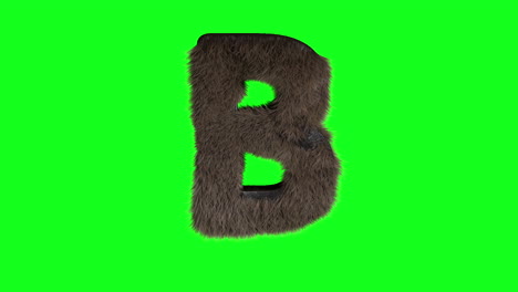 Furry-Hairy-3d-letter-b-on-green-screen